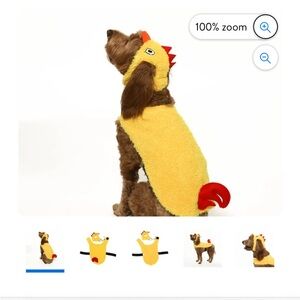 Dog chicken Halloween costume!